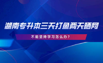 2024年湖南專升本三天打魚兩天曬網(wǎng)，不能堅持學(xué)習(xí)怎么辦.png