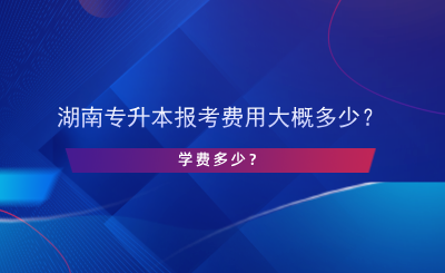 湖南專(zhuān)升本報(bào)考費(fèi)用大概多少？學(xué)費(fèi)多少？.png