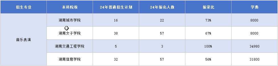 音樂(lè)表演.png