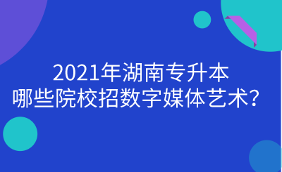 2021年湖南專升本哪些院校招數(shù)字媒體藝術(shù)？.png