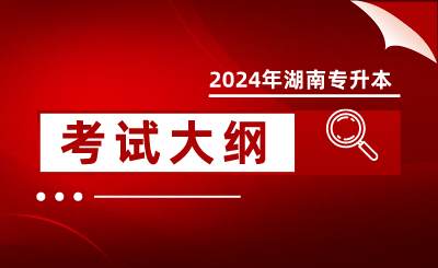 2024年懷化學院專升本考試大綱《Java 程序設計》（新修訂）