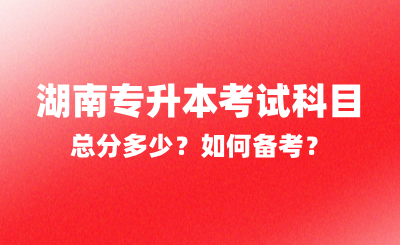 2025年湖南專升本考試科目總分多少？如何備考？