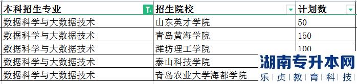 2023年山東專(zhuān)升本數(shù)據(jù)科學(xué)與大數(shù)據(jù)技術(shù)招生學(xué)校及計(jì)劃