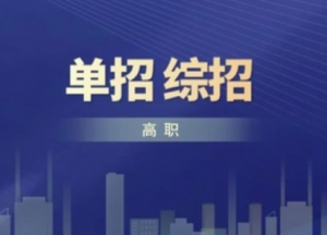 高職單招考試招生和高職綜合評(píng)價(jià)招生的區(qū)別有何不同？(圖1)