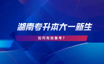 湖南專升本大一新生如何備考？新生必看指南！